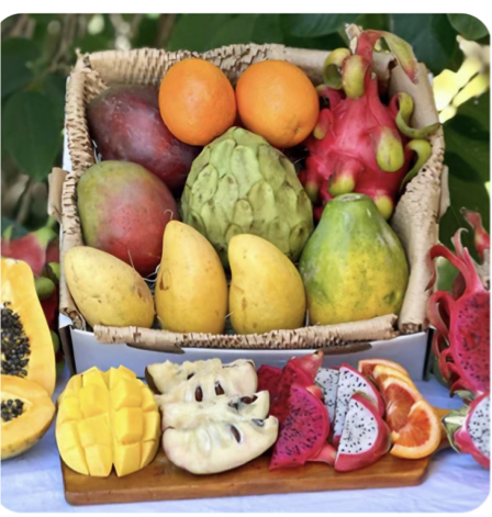Tropical fruits basket with mangoes, dragon fruit, and papayas